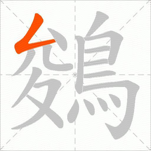 鵕