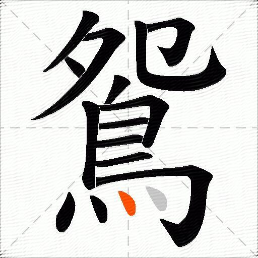 鴛