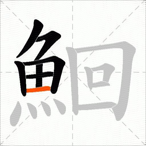 鮰