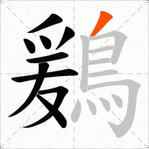 鶢
