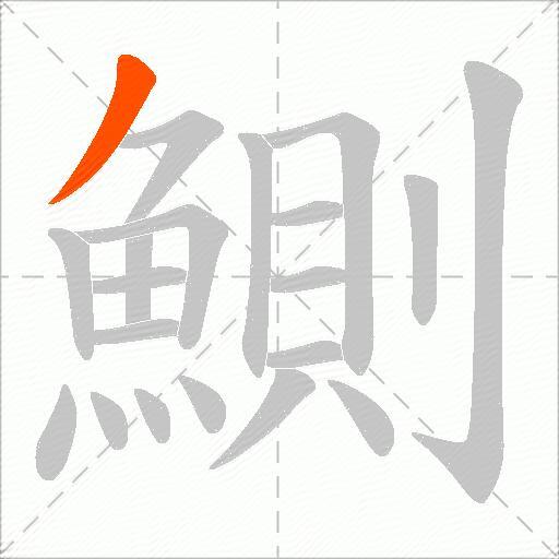 鰂