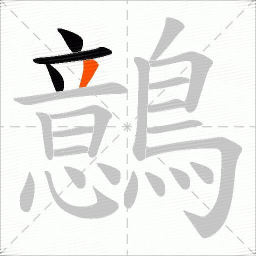 鷾