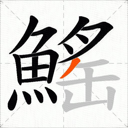 鰩