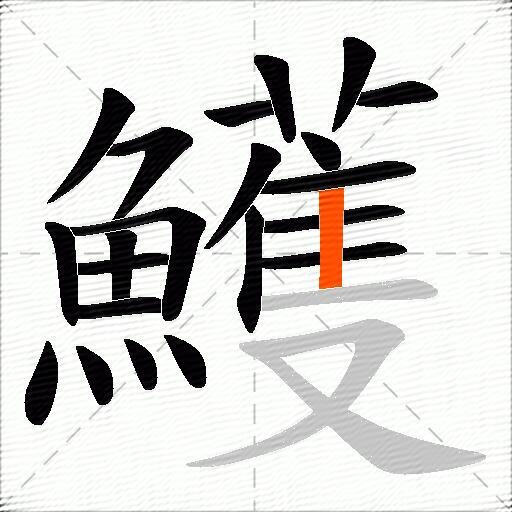 鱯