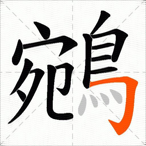 鵷