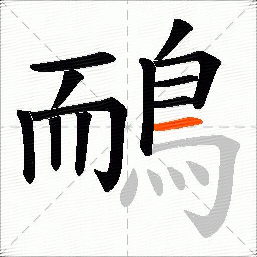 鴯
