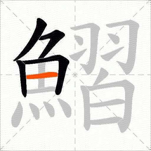 鰼