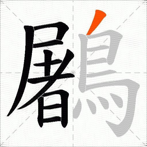 鷵