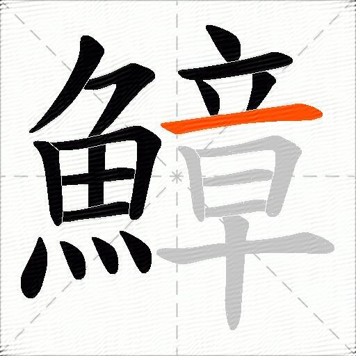 鱆