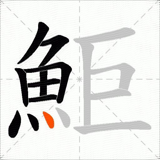 鮔