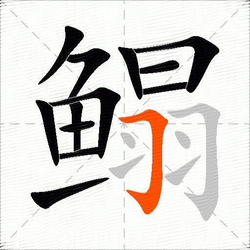 鳎