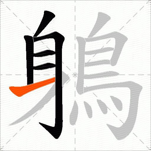 鵢
