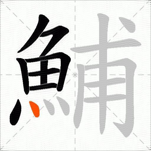 鯆