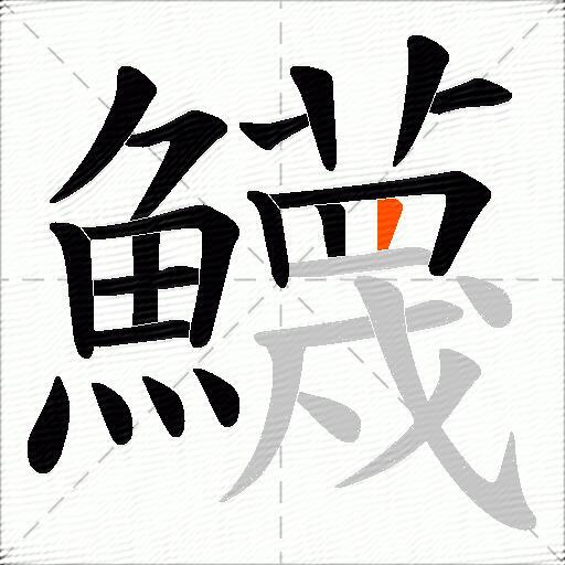 鱴