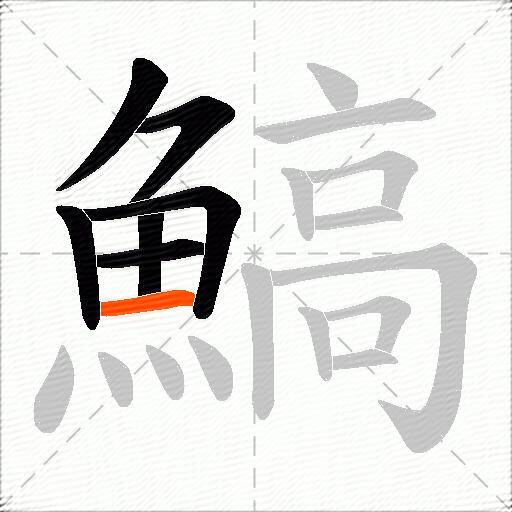 鰝