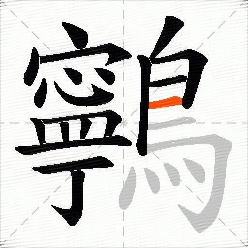 鸋