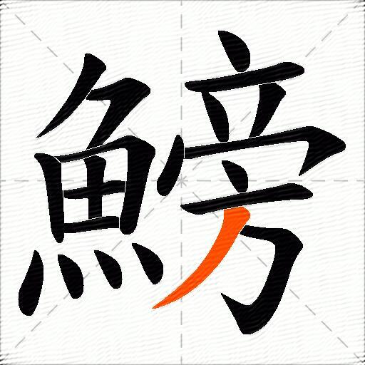 鰟