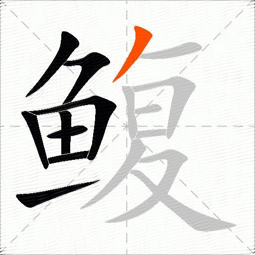 鳆
