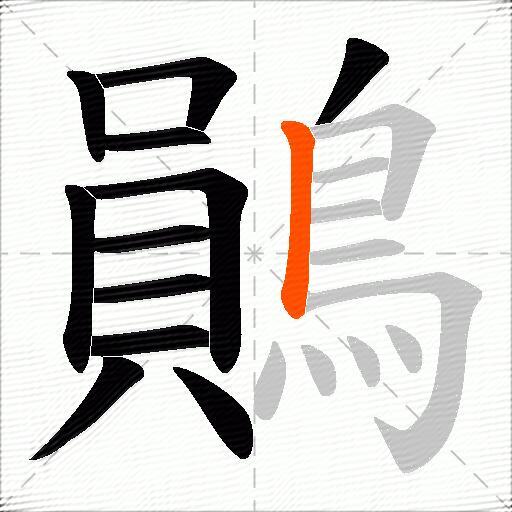 鶰