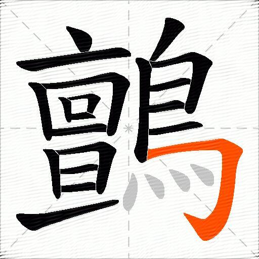 鸇