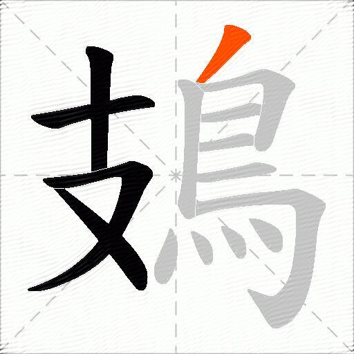 鳷