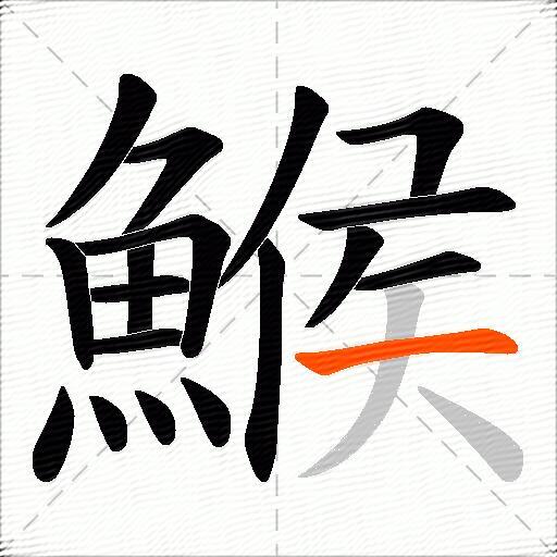 鯸