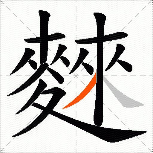 麳
