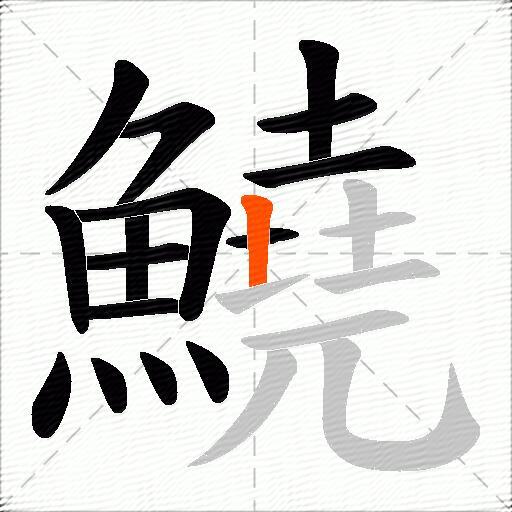鱙