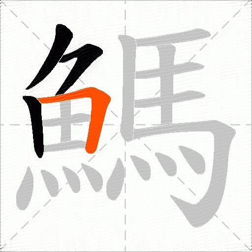 鰢