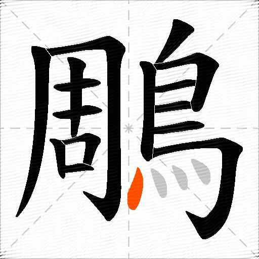 鵰