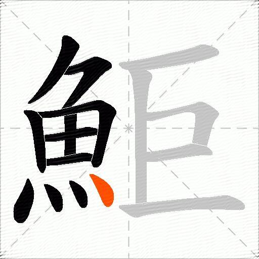 鮔