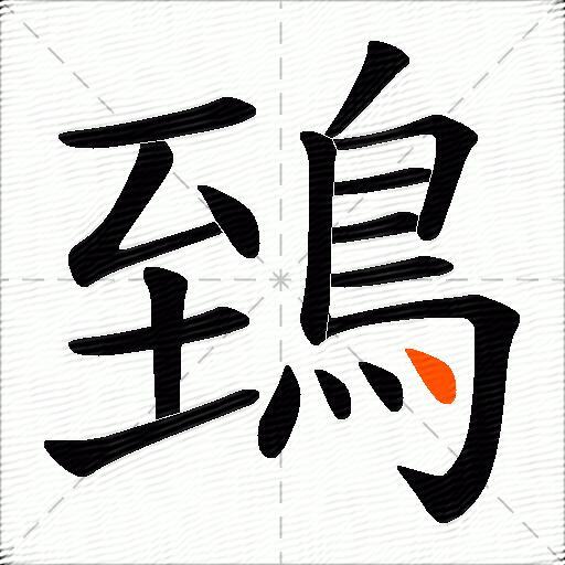 鵄