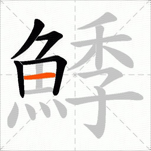 鯚