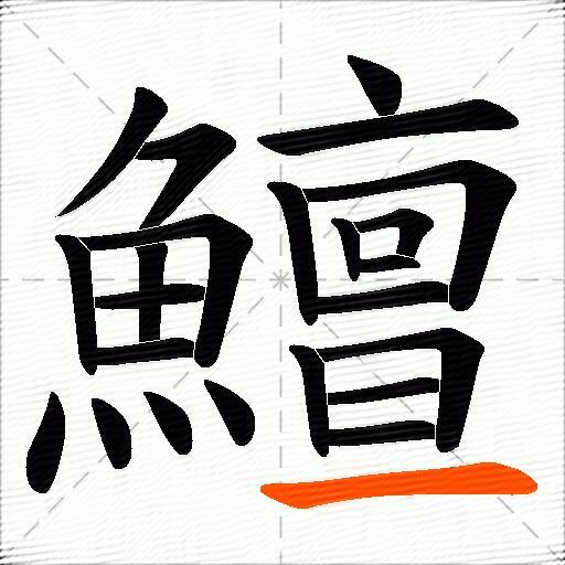 鱣