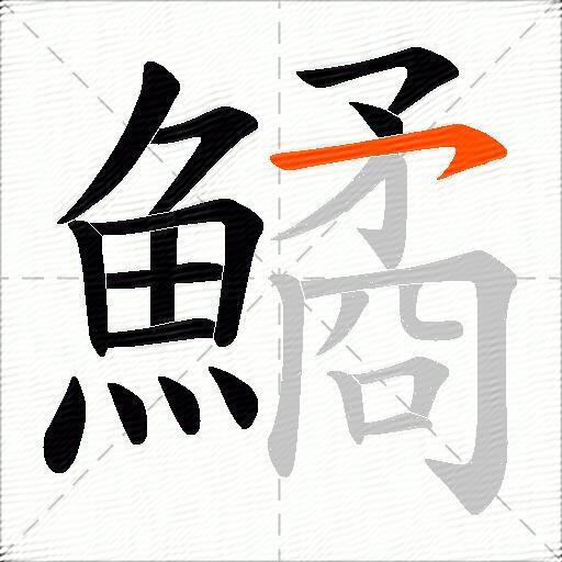 鱊