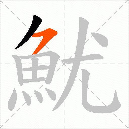 魷