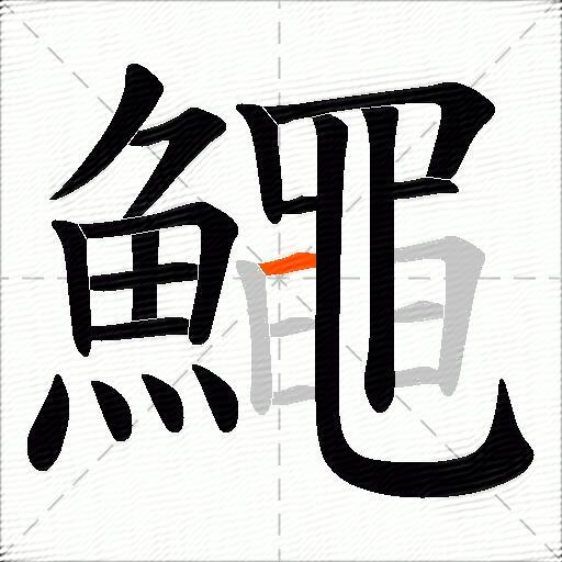 鱦