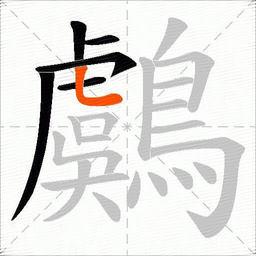 鸆