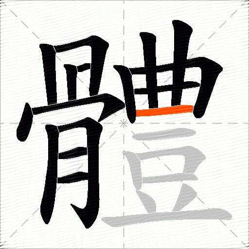 體