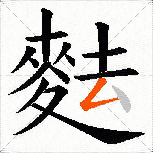麮