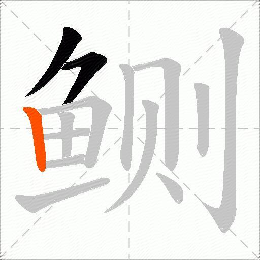 鲗