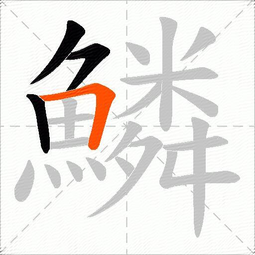 鱗