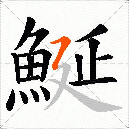 鯅