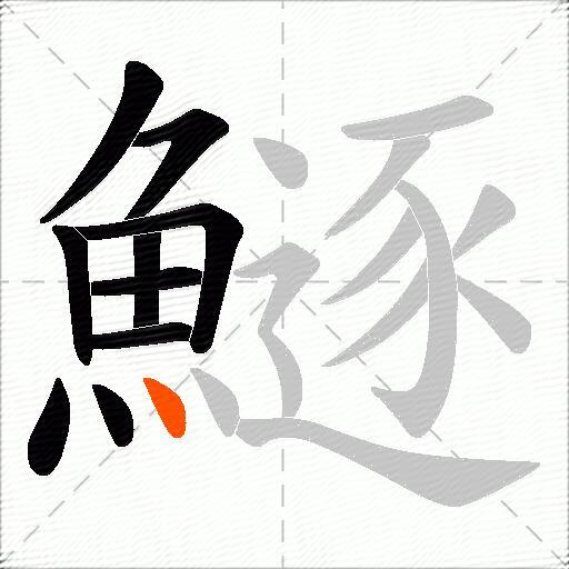 鱁