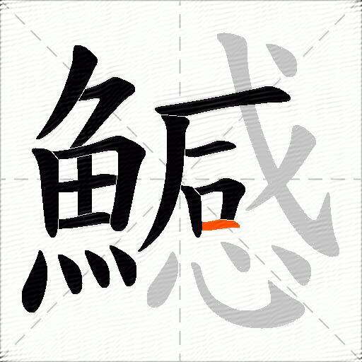 鱤