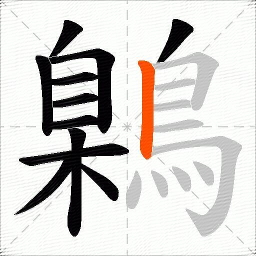 鷍