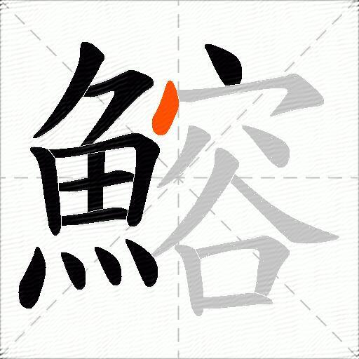 鰫