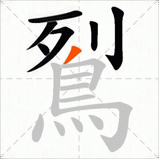 鴷