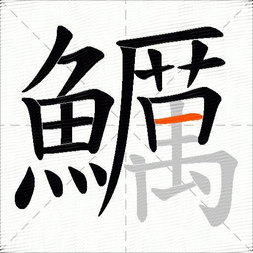 鱱