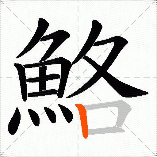 鮥
